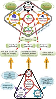 High-Throughput Plant Phenotyping Platform (HT3P) as a Novel Tool for Estimating Agronomic Traits From the Lab to the Field